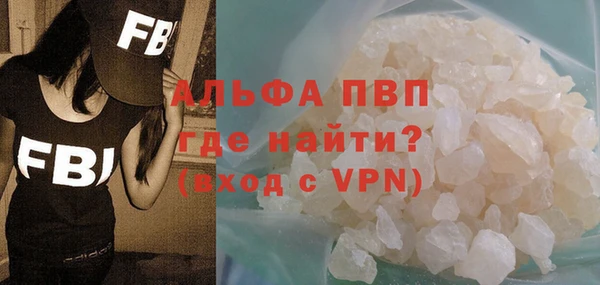 спайс Богданович