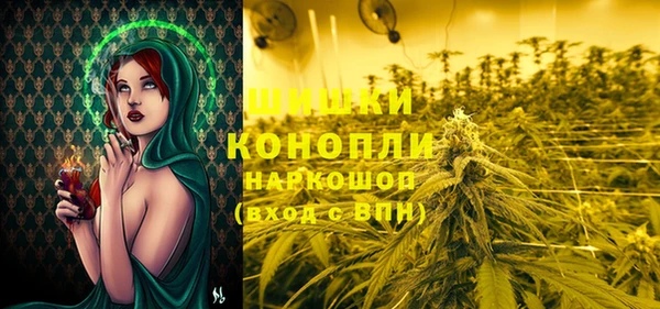 дмт Богородицк
