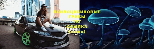 дмт Богородицк