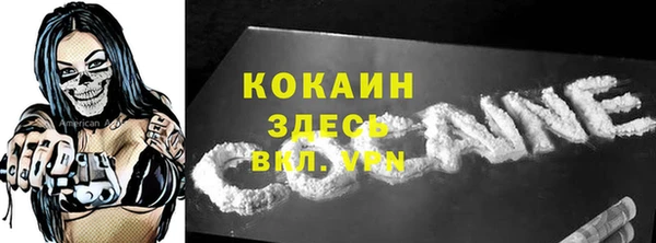 дмт Богородицк
