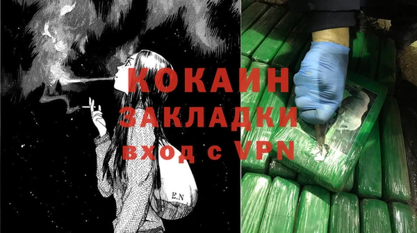 спайс Богданович
