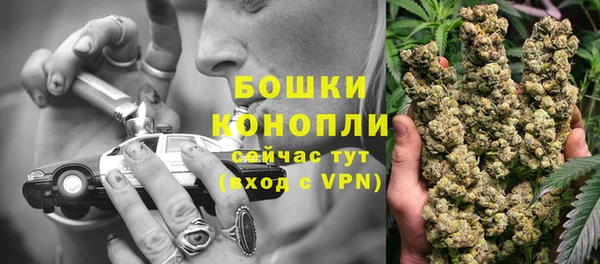 спайс Богданович