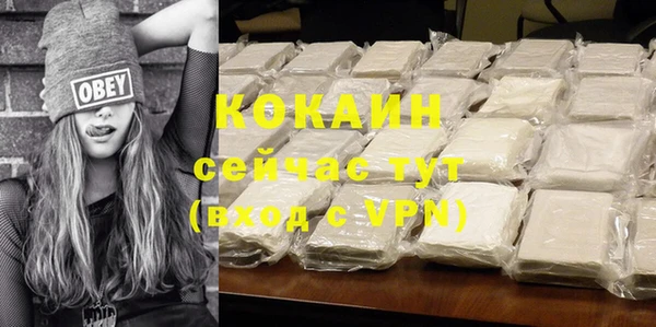 спайс Богданович