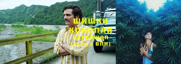 спайс Богданович
