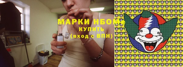 дживик Богородск