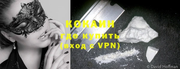 дживик Богородск